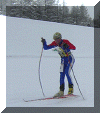 helian_contraire_en_action.gif (35950 octets)